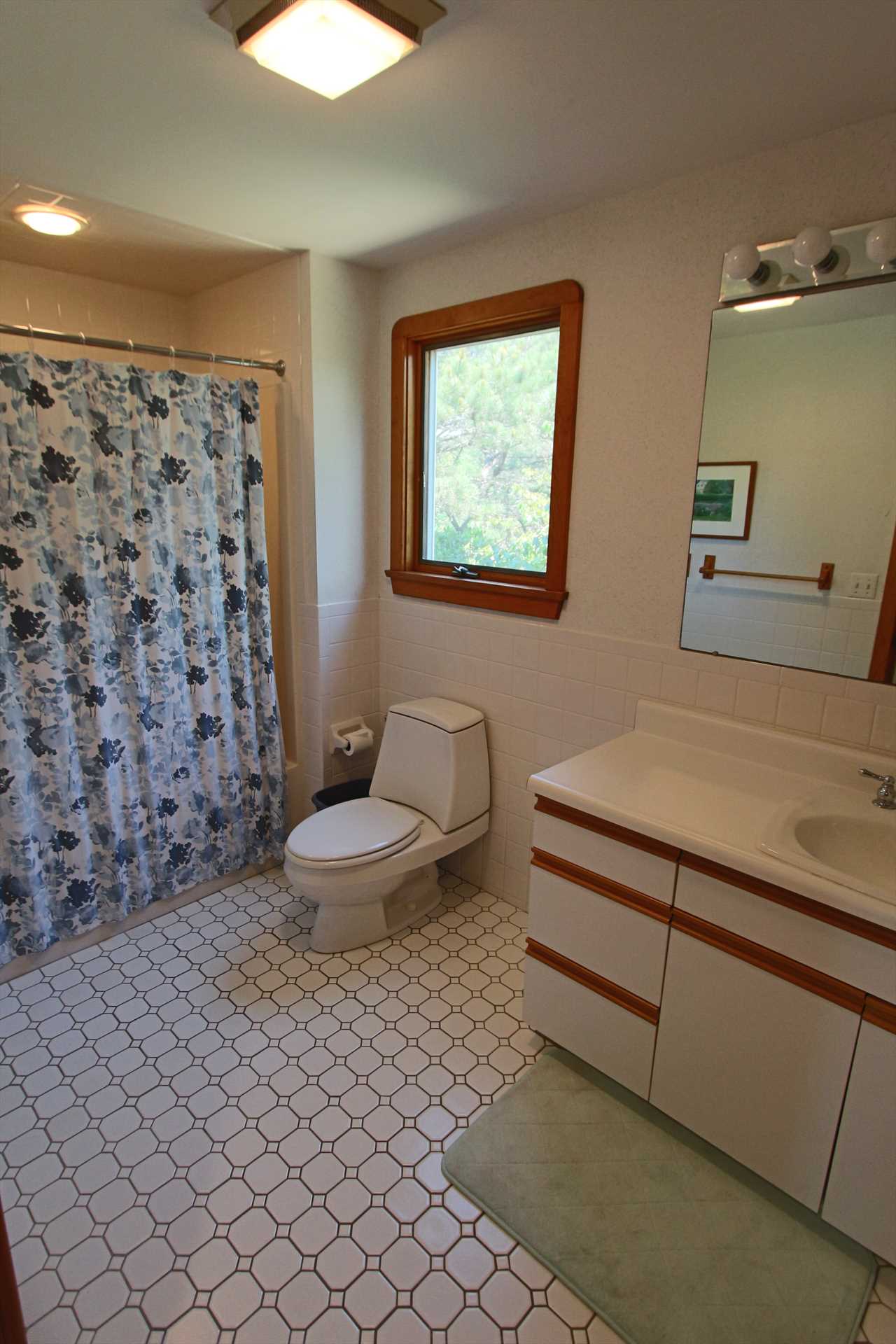 Bathroom #1 - Main Level - Tub and Showe