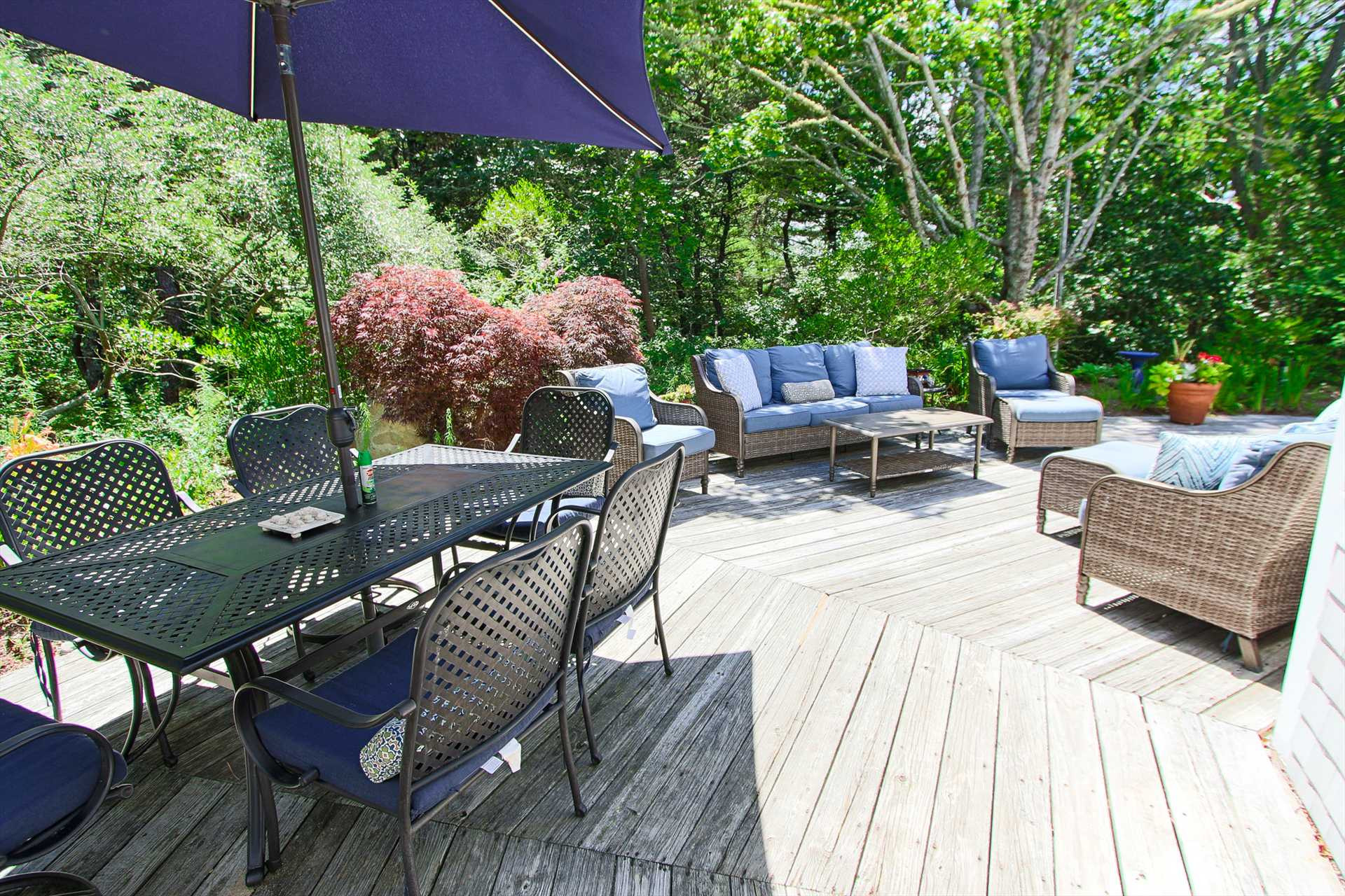 Back deck