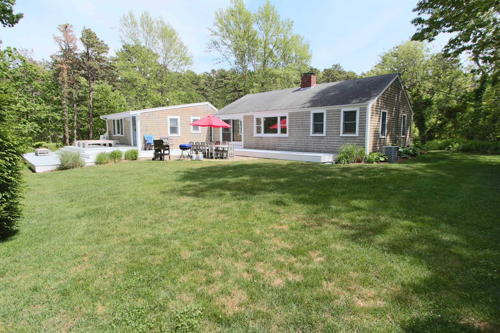 Big, grassy backyard