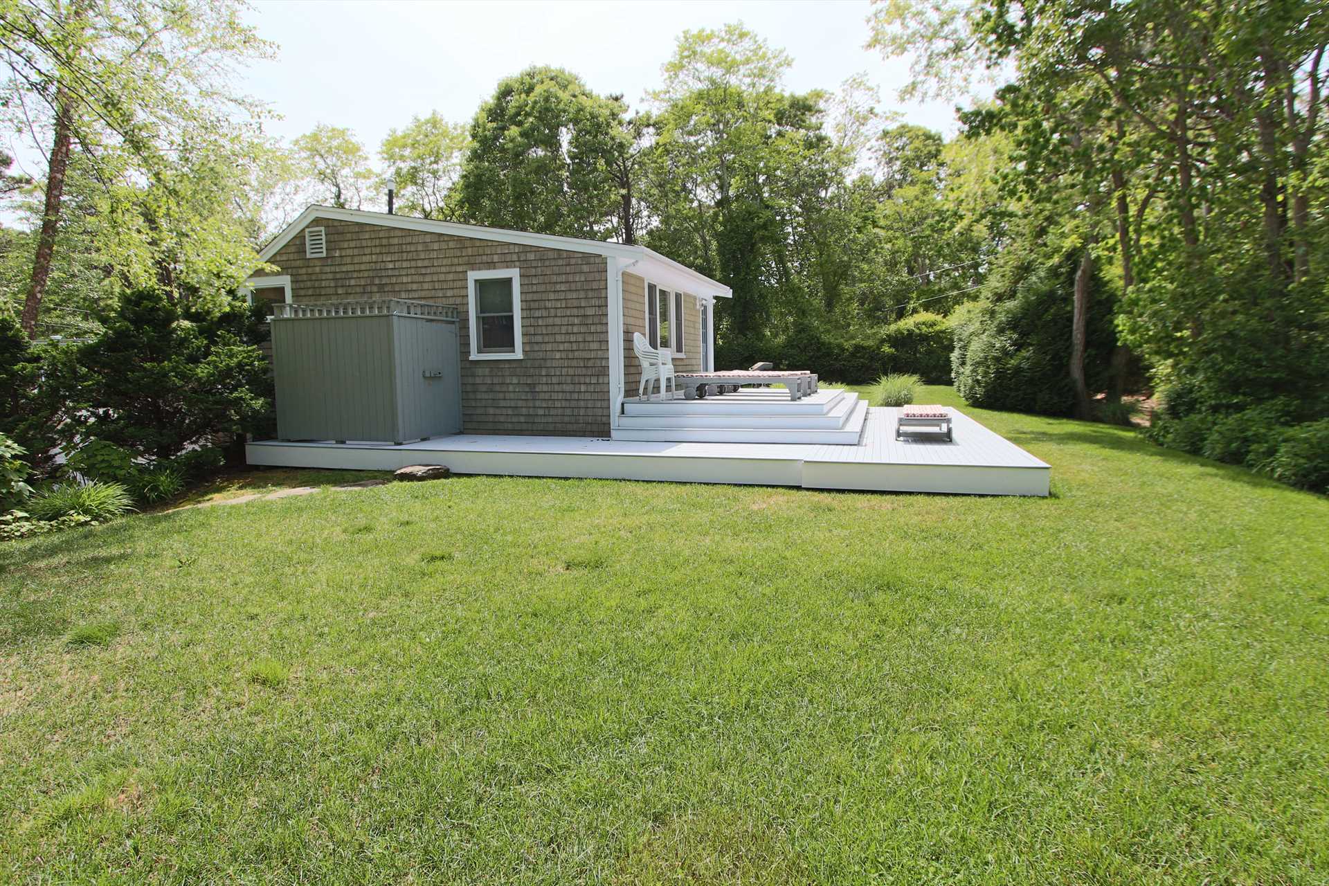 Big, Grassy backyard