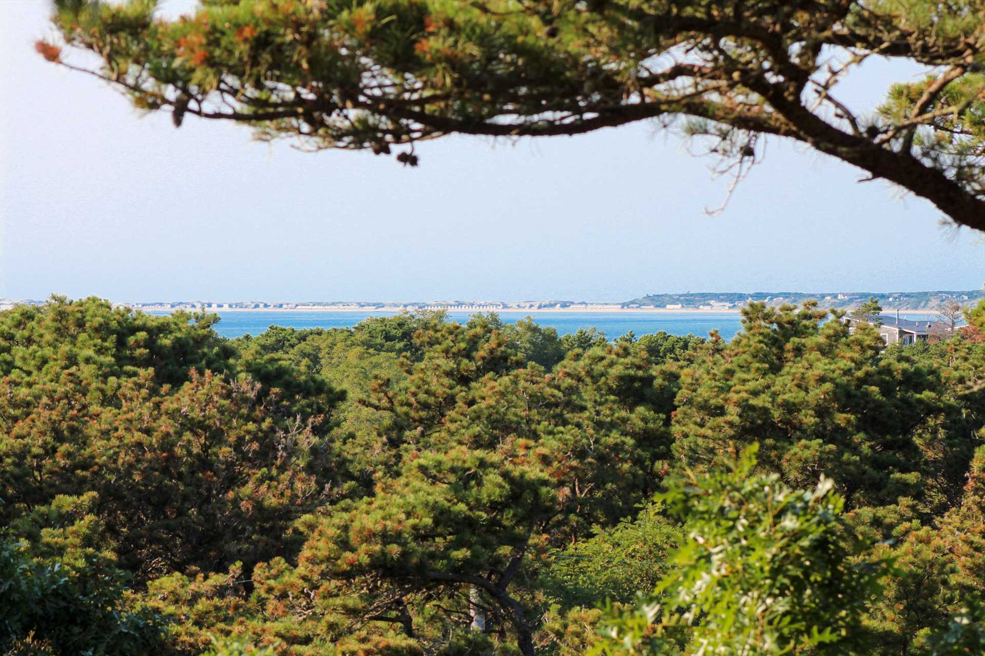 Water View of Cape Cod Bay and Provincetown