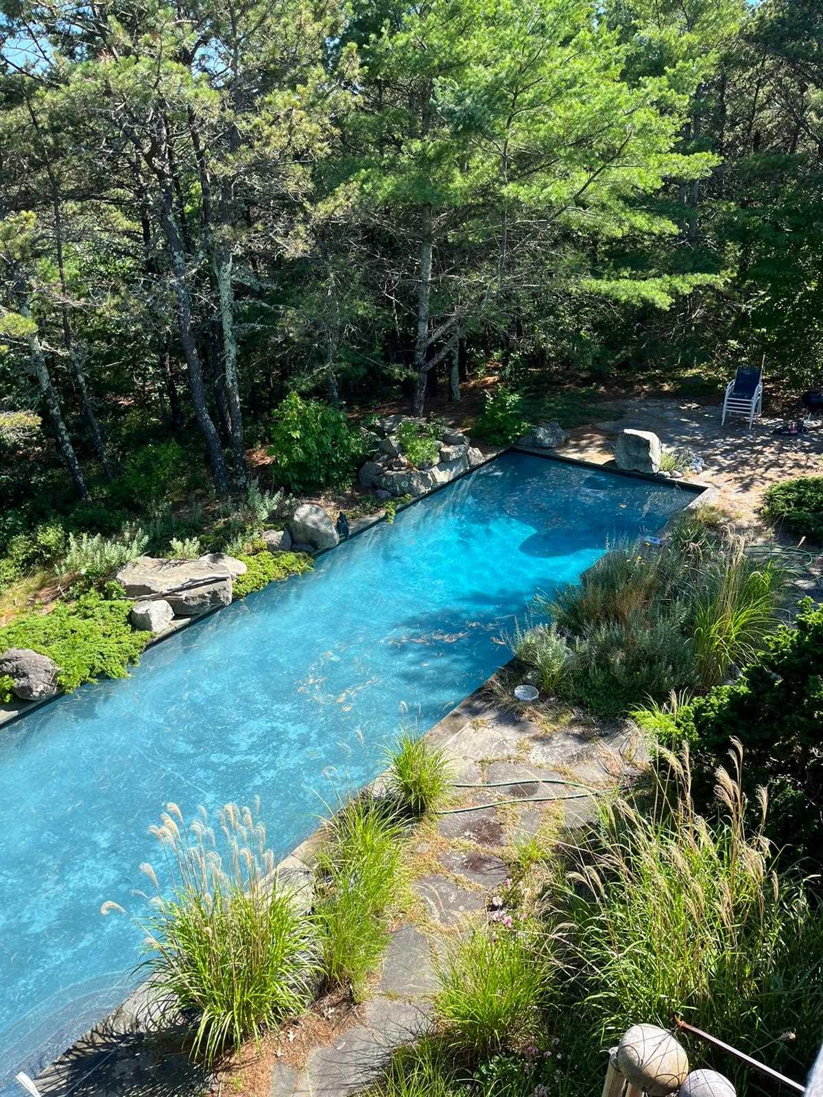 Beautiful Natural Landscaped Pool