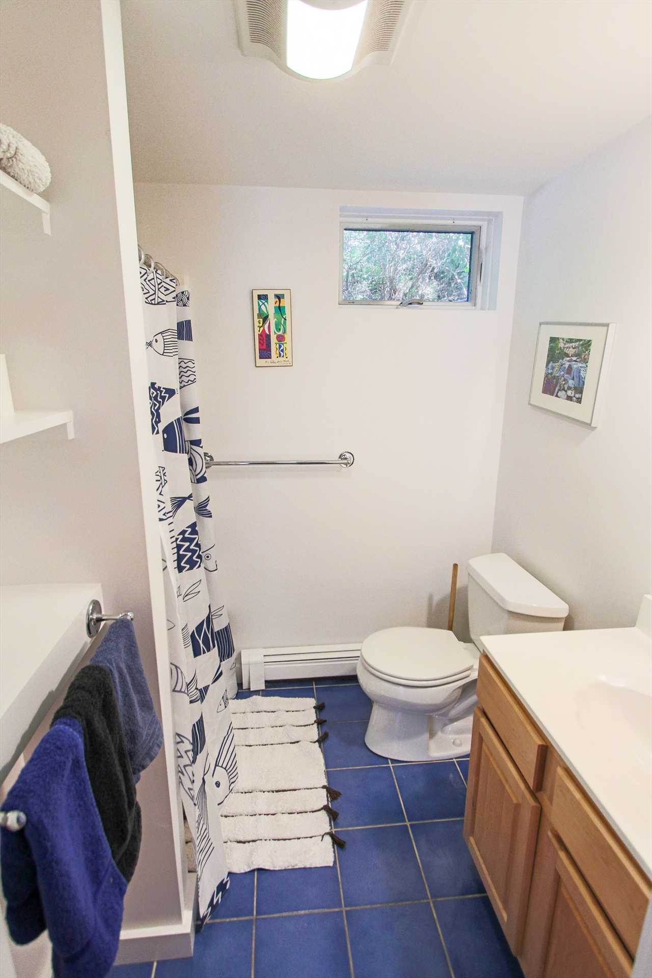 Full bath with Tub and Shower Lower Level